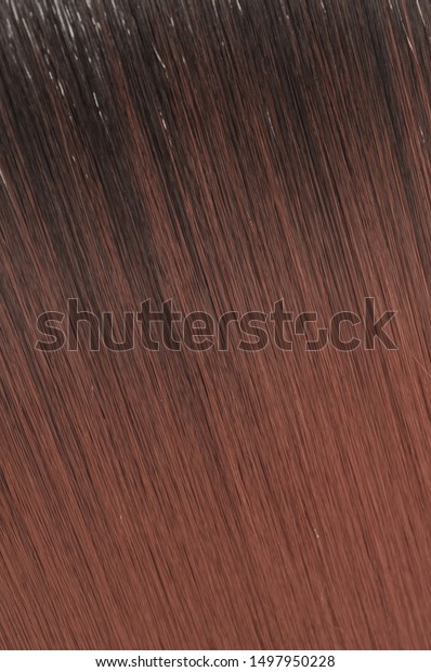 Single Piece Clip Straight Black Wine Stock Photo Edit Now