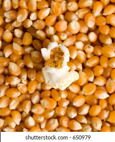 A single piece of popcorn sitting on unpopped kernels, shallow depth of field.