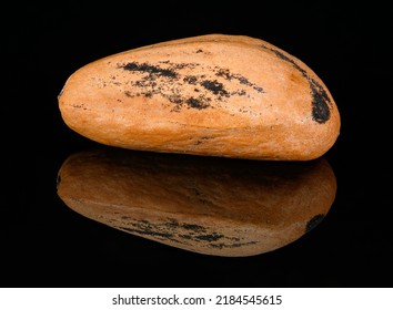 Single Pine Tree Seed On Black With Reflection