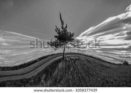 Similar – Foto Bild schräger Baum Winter