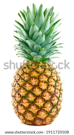 Single pineapple isolated on white background. Pineapple fruit whole. Pineapple Clipping Path. Full depth of field.