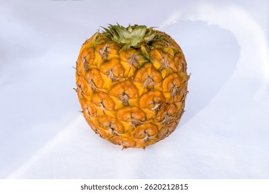 Single Pineapple on White Studio Background