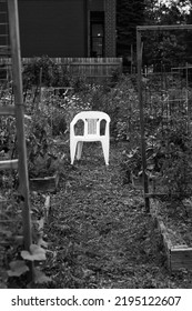 Single Plastic Chair Sitting In The Middle Of A Typical Community Garden In A Black And White Monochrome.