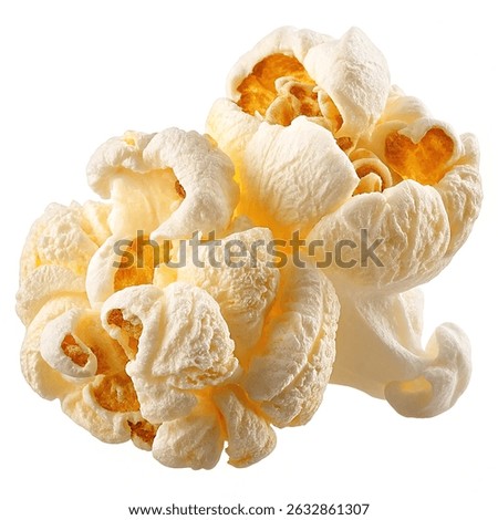 Single popped popcorn kernel fully bloomed isolated on white background