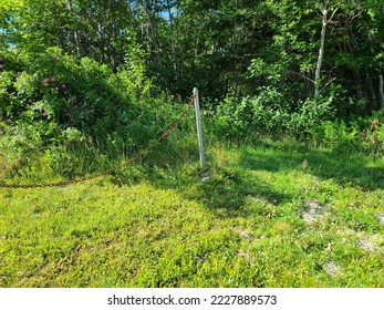 A single post with a rusty chain attached stuck in a field.