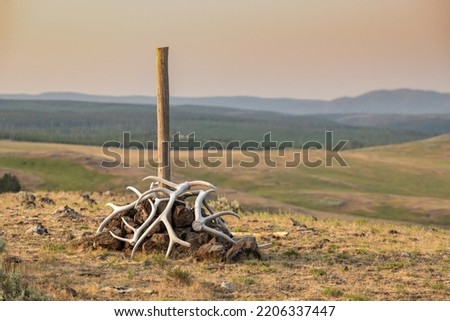Single Post Surrounded By Elk Antlers Marks The Specimen Ridge Trail through Lamar Valley