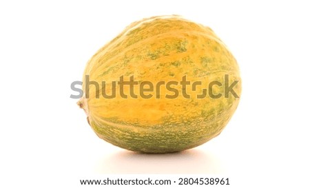 A single pumpkin is captured from a side perspective, showcasing its predominantly yellow rind with green mottling and a dry woody stem nub. The bright high key lighting provides a clean studio look.