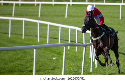 Single Race Horse And Jockey Sprinting Around The Race Track