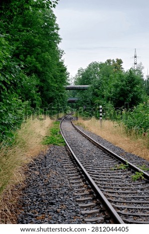 A single rail track path leading through thick green woods and wild vegetation, curving gently into the distance with a bridge crossing overhead.