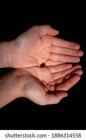 Single Raisin In The Hand Of A Child