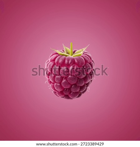 Single raspberry on pink background