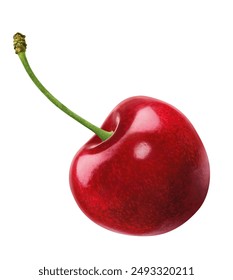 single red cherry with stem