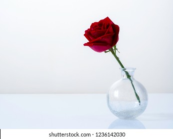 Single Rose Small Vase Images Stock Photos Vectors Shutterstock