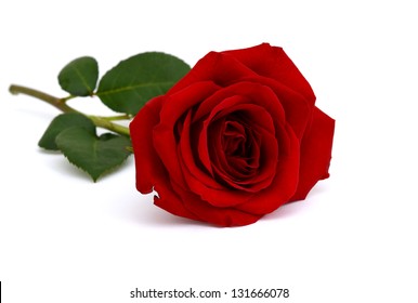 A Single Red Rose, Lay Down On White Table