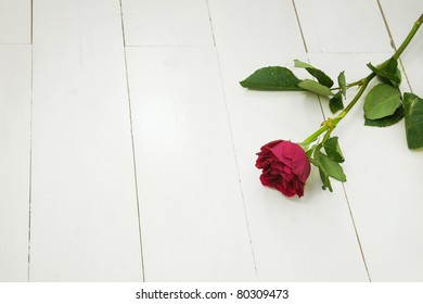 Single Red Rose On White Wooden Floorboards