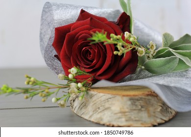 Single Red Rose Valentine Gift Wrapped on Wooden Backdrop Waxflower