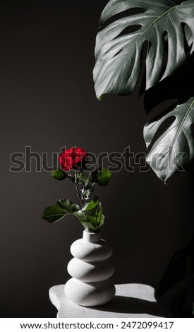 Similar – Image, Stock Photo Rose in vase on table