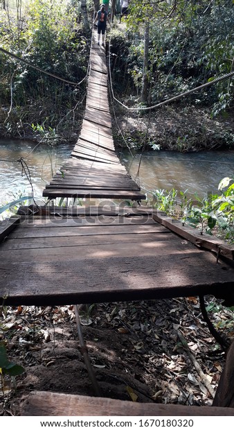 single river rope bridge in\
nature