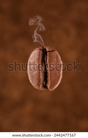 Single roasted coffee beans on brown background