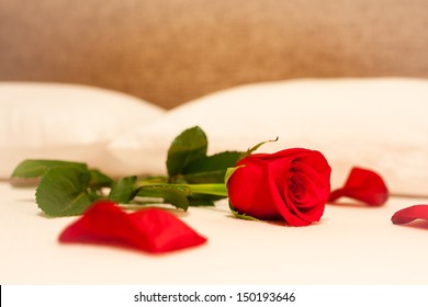 Single Rose On Bed