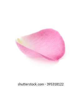 Single Rose Petal Isolated Over The White Background