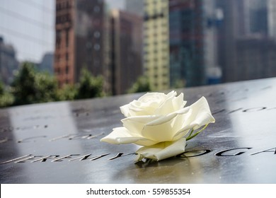 A single Rose that is left by someone's name at the 9/11 memorial in New York City