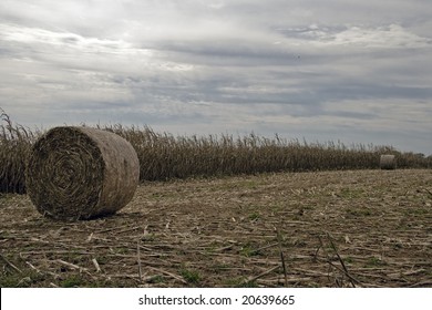 Corn Stalk Bales High Res Stock Images Shutterstock