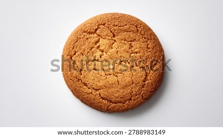 Single round ginger biscuit isolated on clean white background sweet bakery concept.