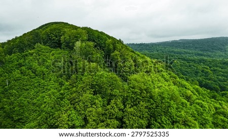 A single rounded summit rises from an unbroken sea of green canopy. Drone perspective highlights dense mixed forest textures and the timeless serenity of a protected landscape.