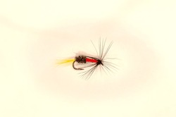 Single Royal Coachman Trout Fly On Solid White Background