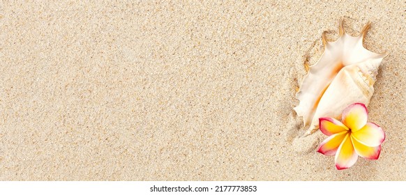 13 531件の プルメリア 海 の画像 写真素材 ベクター画像 Shutterstock