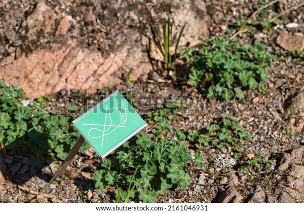 Single sign of crossed foot saying do not tramp\
vegetation along pathway