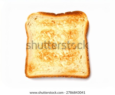 Single slice toasted bread isolated