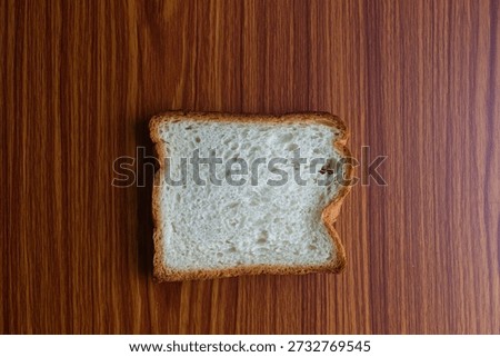 Single Slice of White Bread on Wood