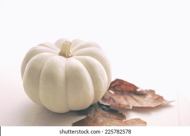 Single Small White Pumpkin With Two Autumn Leaves On Wooden Board.  