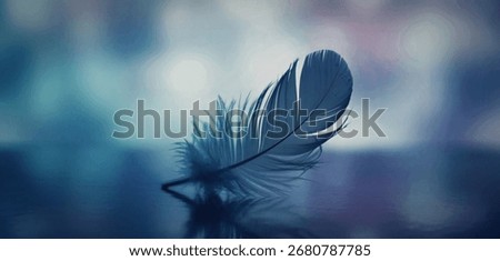 A single, soft blue feather is captured in sharp focus, resting on a smooth, reflective surface