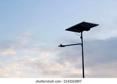 Single Solar Cell Panel Road Lighting Equipment At Golden Color Dramatic Tone Dusk Time Sky Under Renewable Energy Concept With Empty Copy Space For Text Quote Or Background Usage Work Or Project