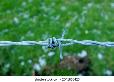 A Single Strand Of Barbed Wire Fencing With Twisted Knot And A Defocused Field Background, With Space For Copy Above And Below. 