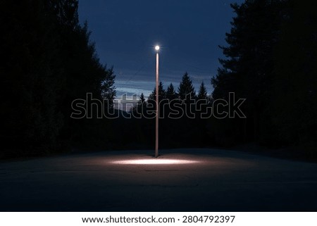 A single streetlight casts a bright pool of light on the ground in a dark forest clearing as twilight deepens.
