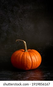 A single Sugar pumpkin squash shot from the side on a dark background with copy or text space