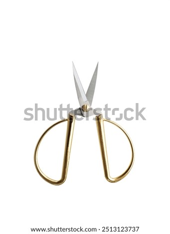 A single tailor gold scissors made from metal for sewing isolated on white background