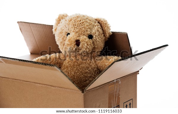 teddy in a box delivery