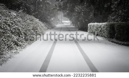 Similar – blow snow Landscape Winter