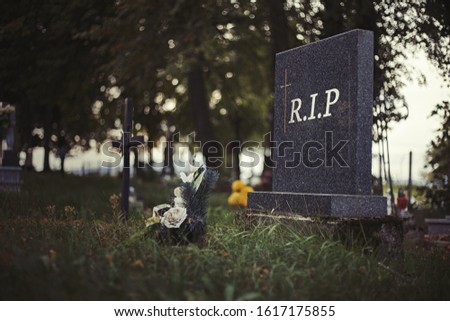 Single tombstone with RIP sign in old graveyard. Close up of gravestone in grass with flower and Rest in Peace text. Funeral concept. All Saints' Day, Cemetery in Europe at the evening
