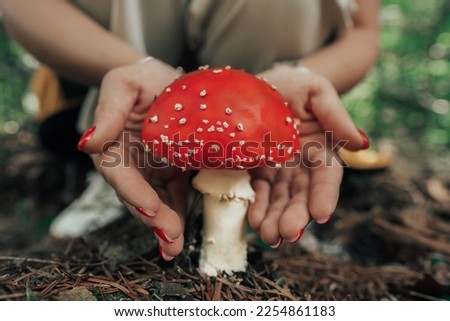 Single toxic and hallucinogen fly agaric with bright red cap stands in forest. Wild poisonous mushroom on natural bright autumn background. Harvest fungi concept. Toadstool fungus. High quality photo