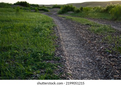 Single Track Road Green Hedges On Stock Photo 2199051215 | Shutterstock