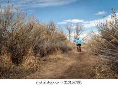 Single Track Trail In Winter Or Fall Scenery With A Male Cyclist On A Gravel Bike - Arapaho Bend Natural Area In Fort Collins, Colorado