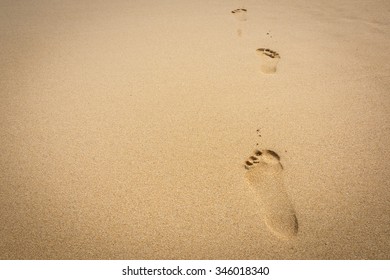 4,209 Single foot print Images, Stock Photos & Vectors | Shutterstock