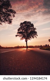 A single tree at a countryside road and long shadow by sunset summer sun and dramatic colorful moody light. Brunswick,  Lower Saxony in Germany - Shutterstock ID 1194184174