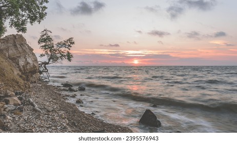 Single tree on the rocky shore at summer sunrise - Powered by Shutterstock